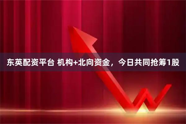 东英配资平台 机构+北向资金，今日共同抢筹1股