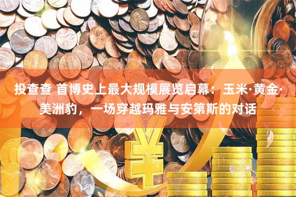投查查 首博史上最大规模展览启幕：玉米·黄金·美洲豹，一场穿越玛雅与安第斯的对话